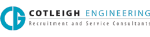 Company posting MEP Revit/BIM Technician job in  Wales, UK