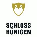 Schloss H�nigen